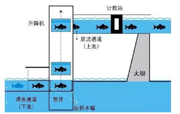 2021开新局重大项目建设巡礼之十267万人的渴盼夹岩水库水源工程主体